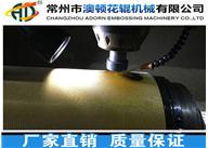 無(wú)紡布穿孔輥